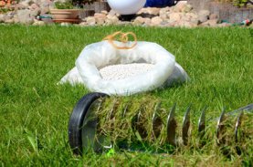 Moos entfernen: Was hilft für Rasen, Terrasse und Haus?